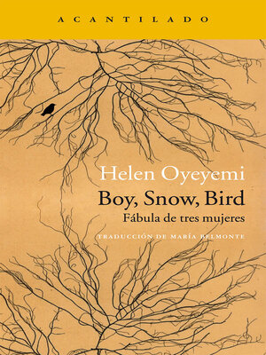 cover image of Boy, Snow, Bird